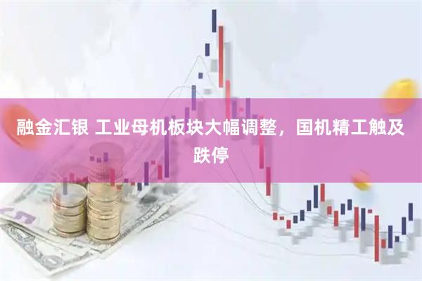 融金汇银 工业母机板块大幅调整，国机精工触及跌停