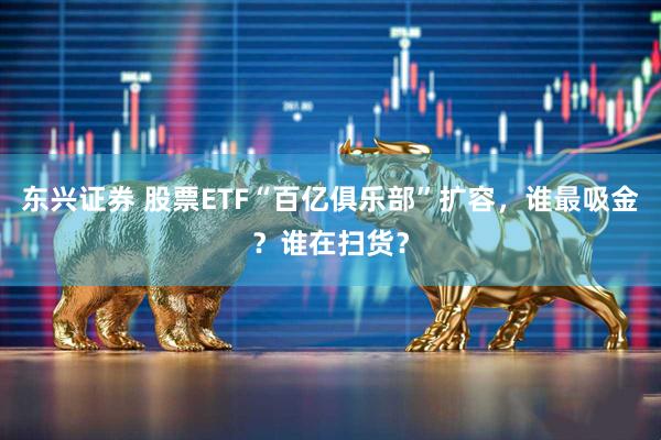 东兴证券 股票ETF“百亿俱乐部”扩容，谁最吸金？谁在扫货？
