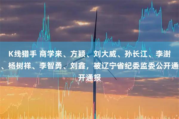 K线猎手 商学来、方颖、刘大威、孙长江、李澍潭、杨树祥、李智勇、刘鑫，被辽宁省纪委监委公开通报
